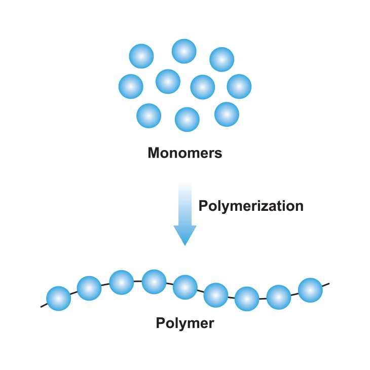 polymerization